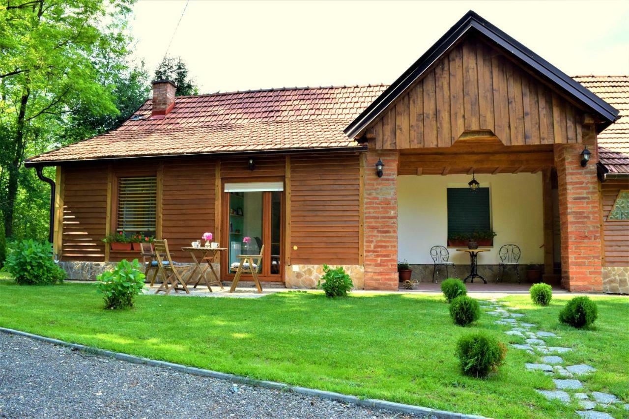 Apartmani Katruza Sveti Martin Na Muri Ngoại thất bức ảnh